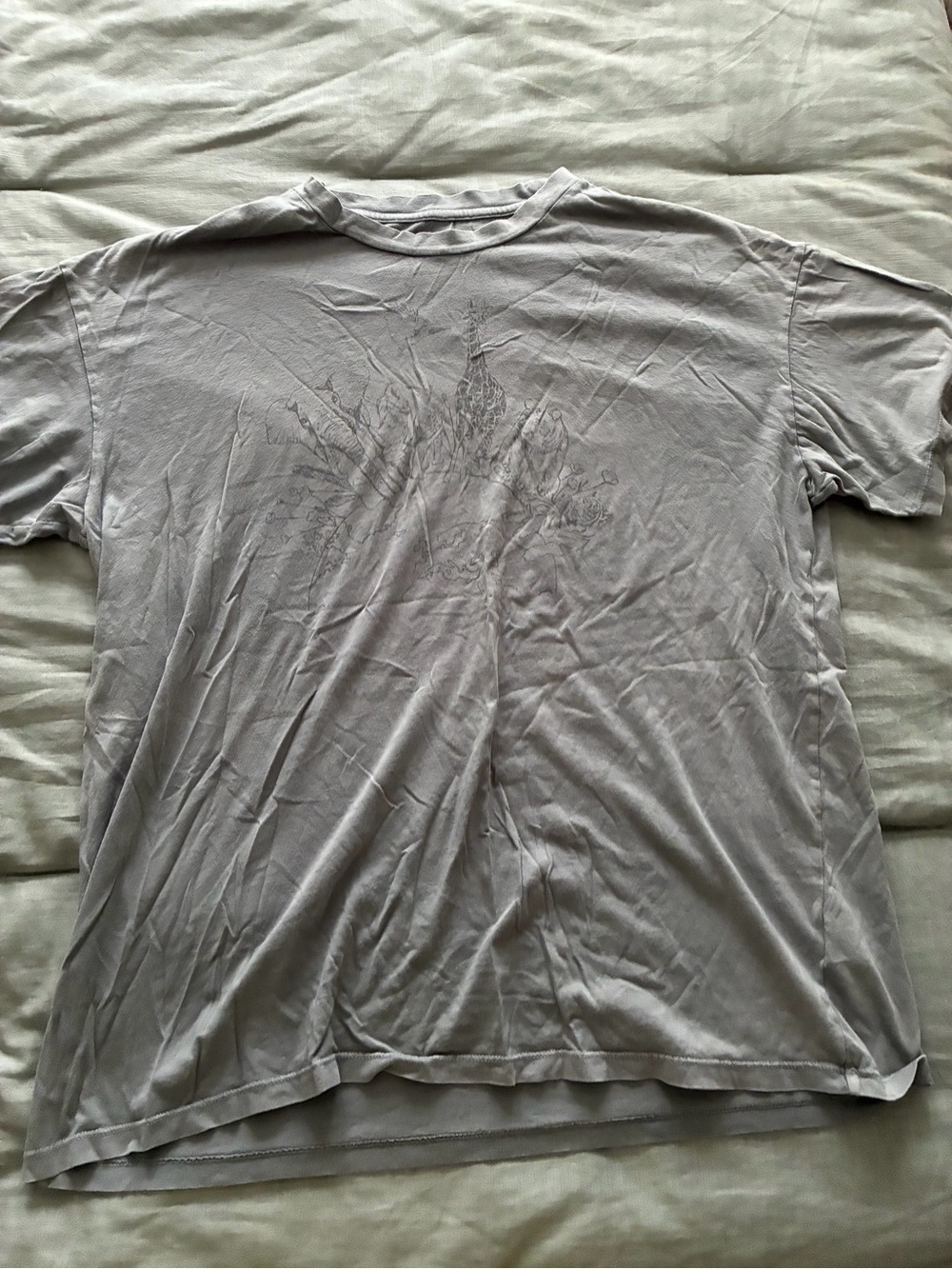 American Eagle Outfitters Light Gray Crewneck Graphic Tee